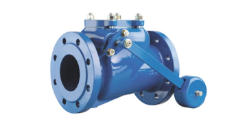 Swing Check Valves