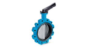 Centric butterfly valves